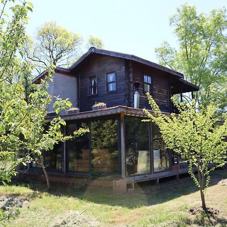 House With Backyard And Winter Garden In Agva Villa Geredeli Esterno foto