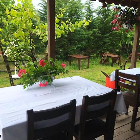 House With Backyard And Winter Garden In Agva Villa Geredeli Esterno foto