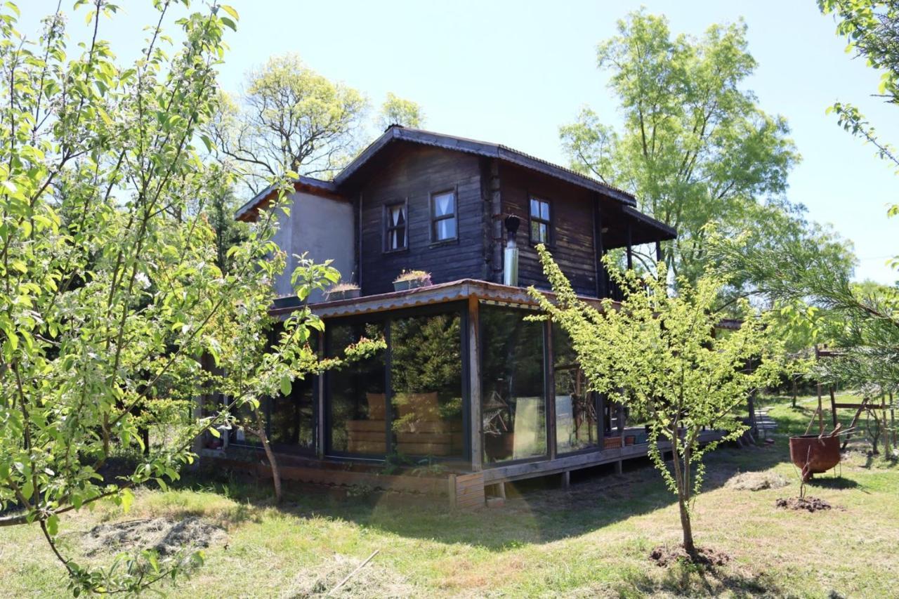 House With Backyard And Winter Garden In Agva Villa Geredeli Esterno foto