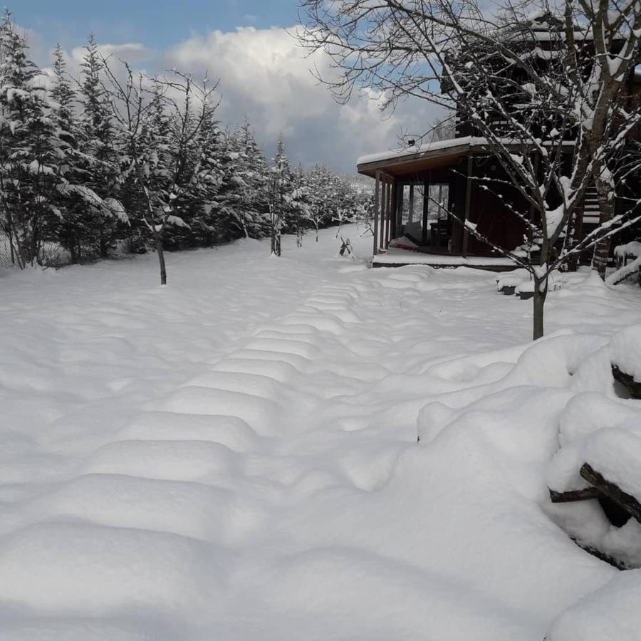 House With Backyard And Winter Garden In Agva Villa Geredeli Esterno foto